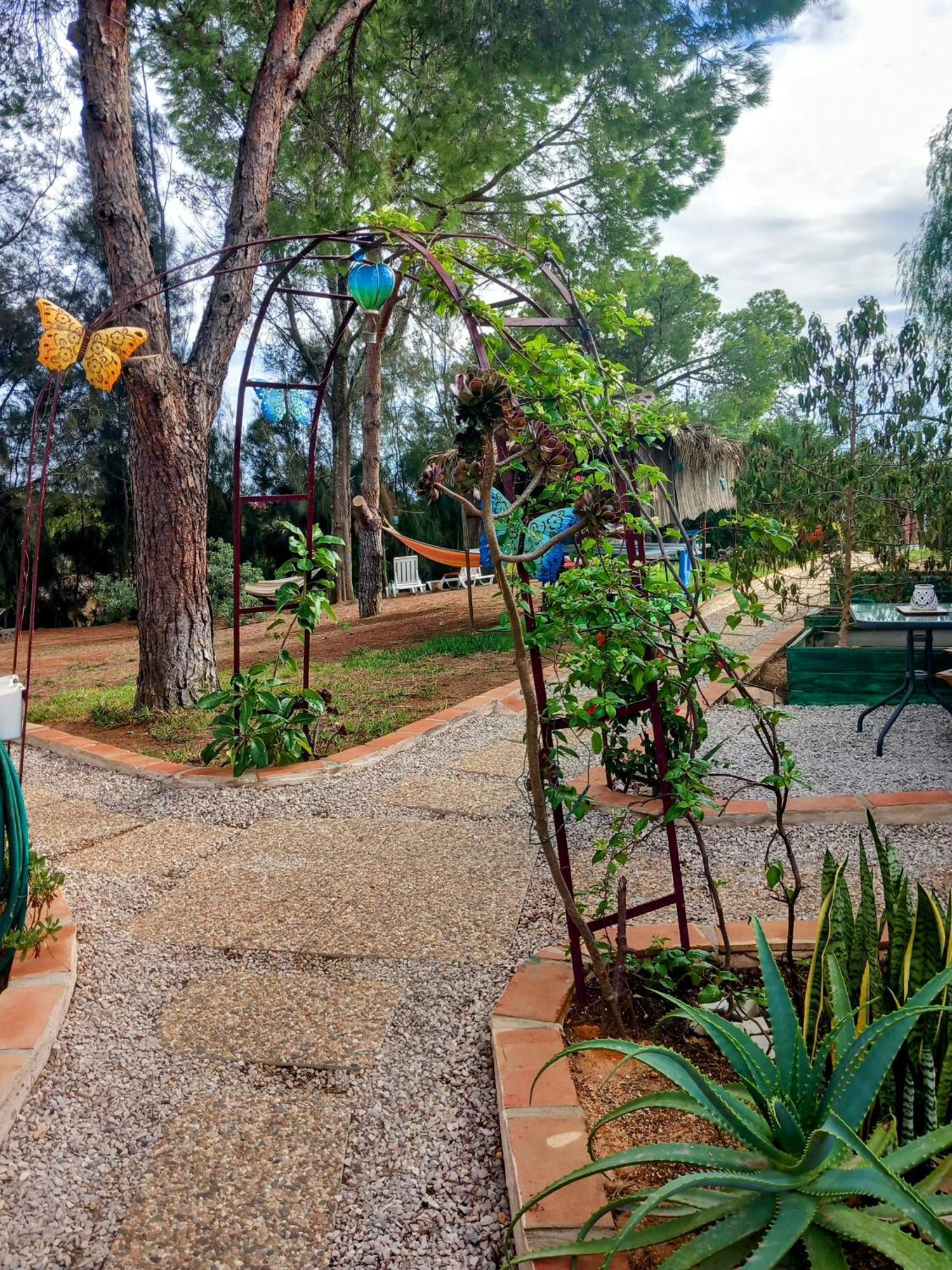 Apartmán Boheme Valdareina, Piscine Chauffee, Benagil-Carvoeiro Carvoeiro  Exteriér fotografie